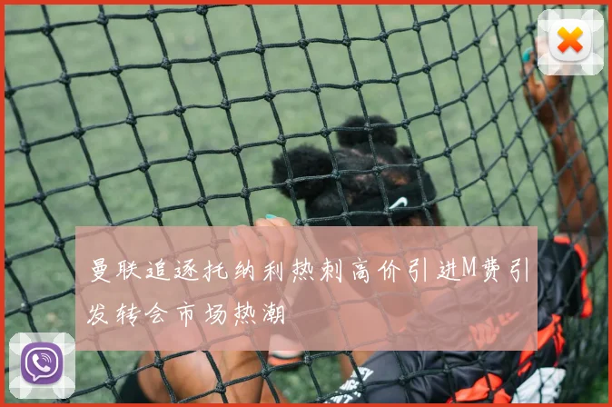 曼联追逐托纳利热刺高价引进M费引发转会市场热潮
