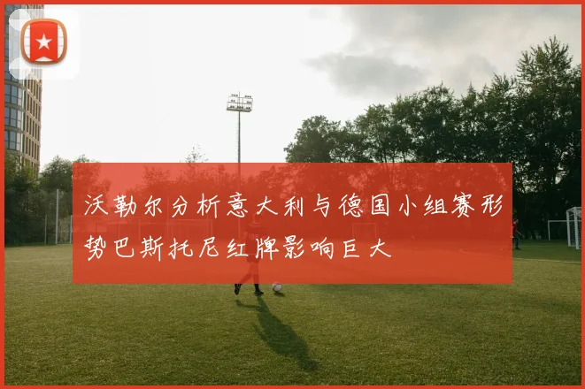 沃勒尔分析意大利与德国小组赛形势巴斯托尼红牌影响巨大